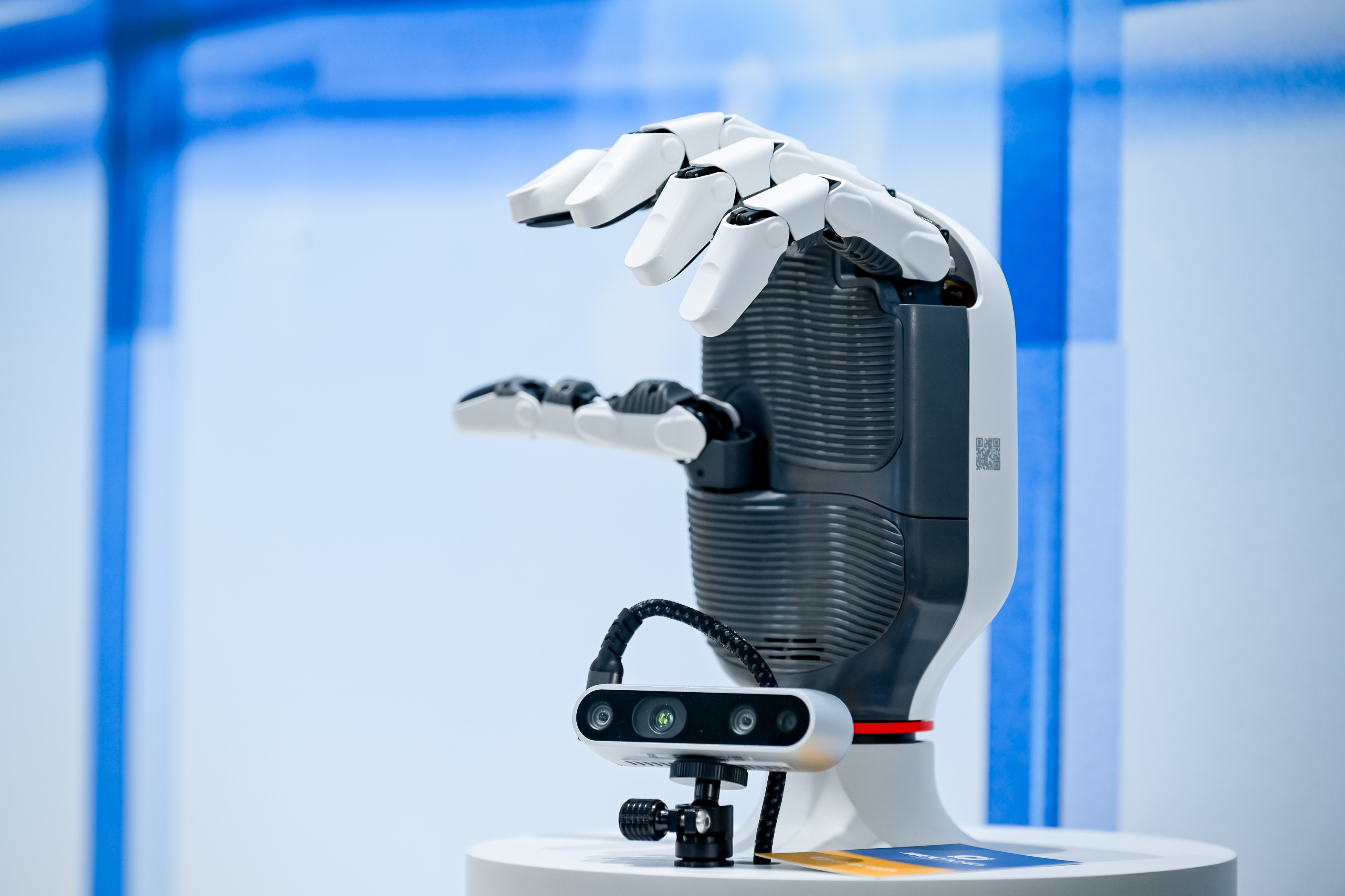 DSC_8845-opq3542551638