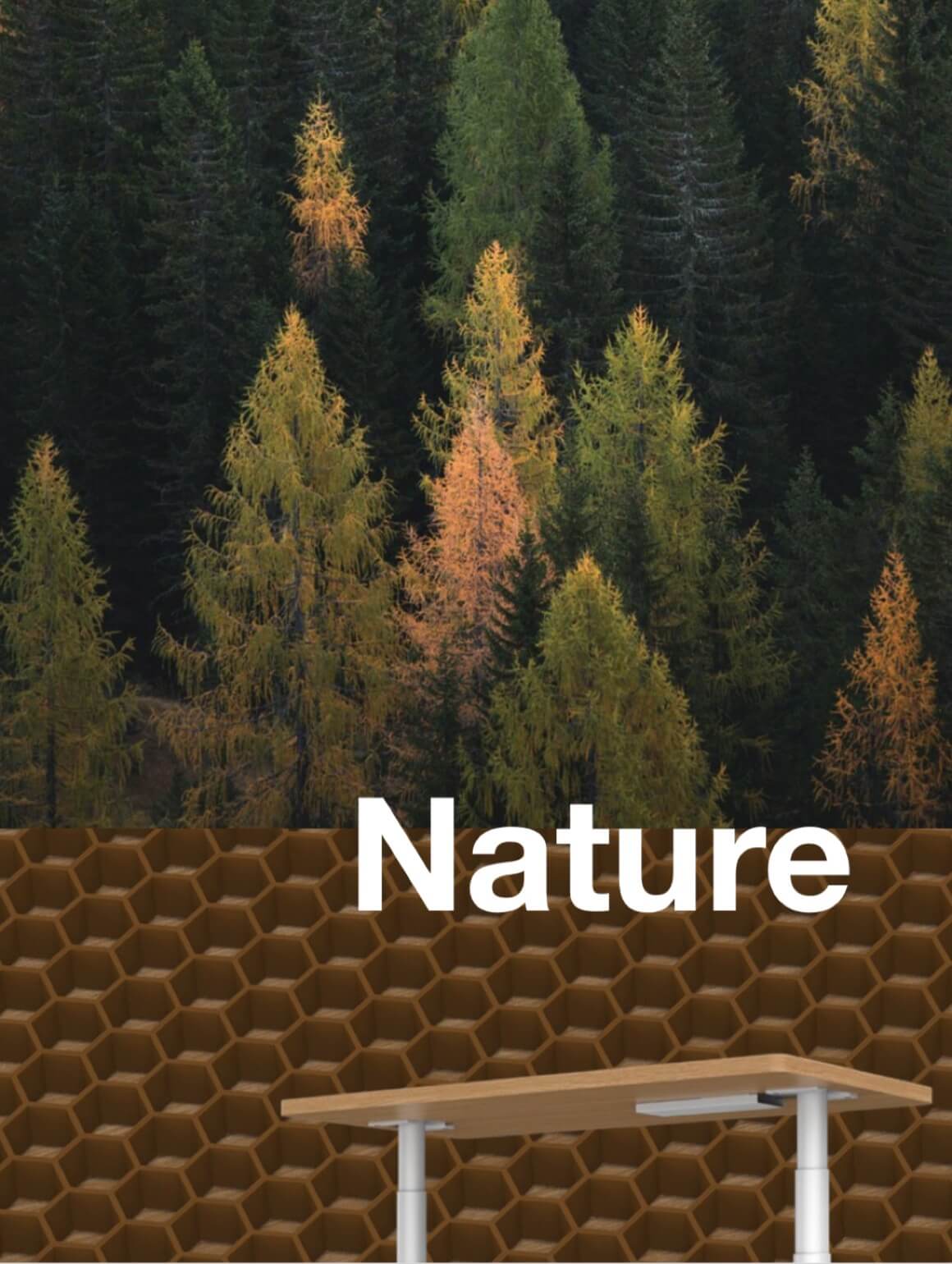 Honeycomb Board Adjustable Table