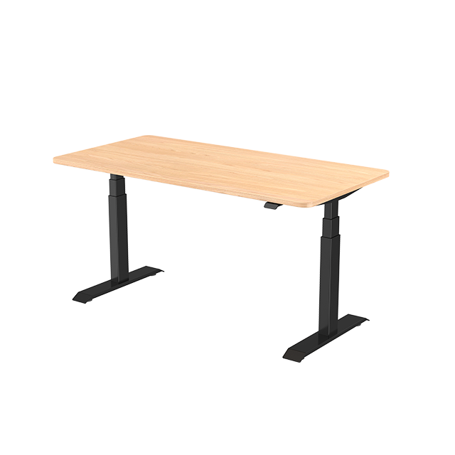 Electric Adjustable Standing Desk Frame TS-Plus