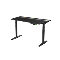 Electric Adjustable Gaming Standing Desk Frame INVICTUS-C